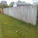 Outside of fence