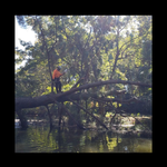 Storm Damage