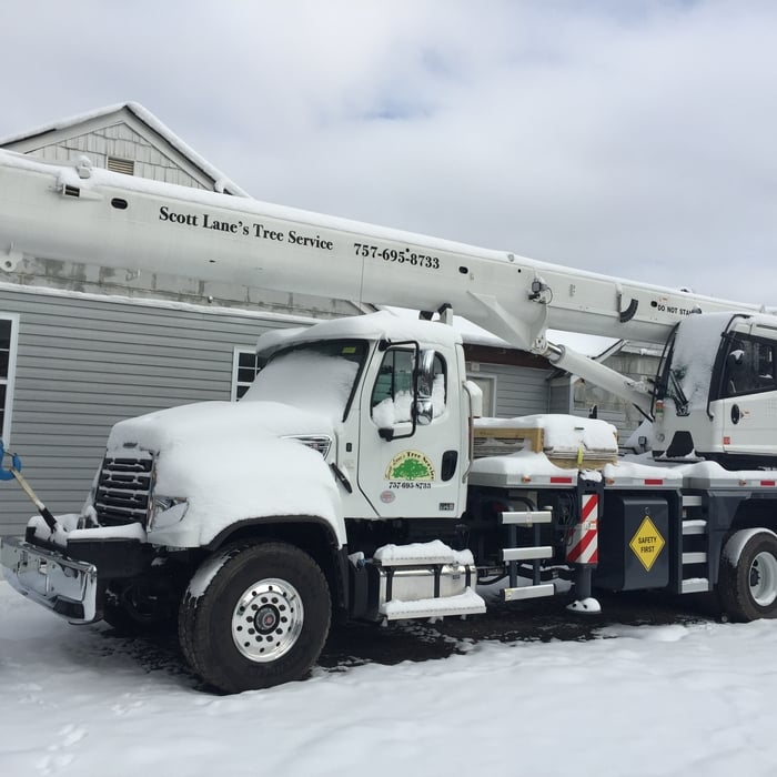 Snowy crane