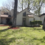 Lawn Makeover