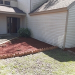 Lawn Makeover