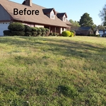 Before Front Yard