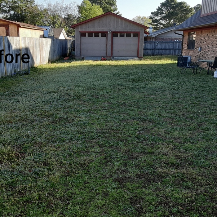 Before Back Yard