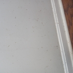 Mudy wall