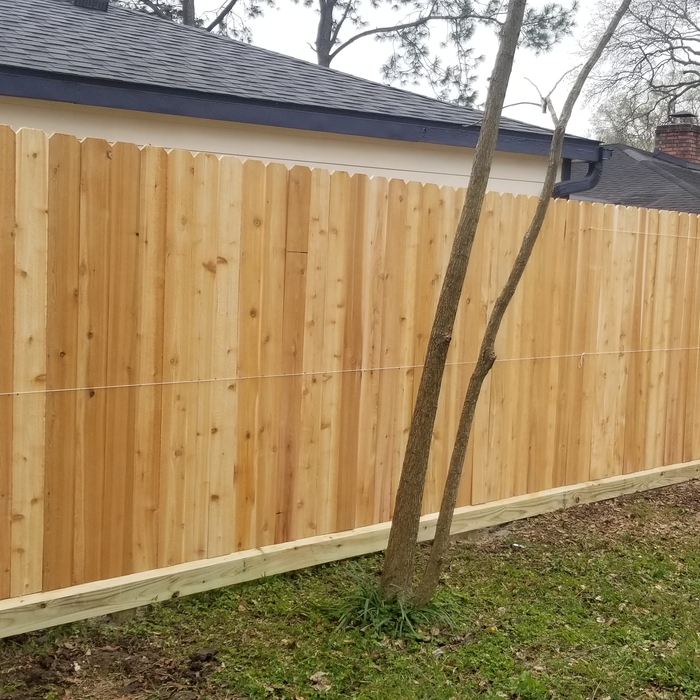 Cedar Fence