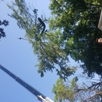 Crane work.