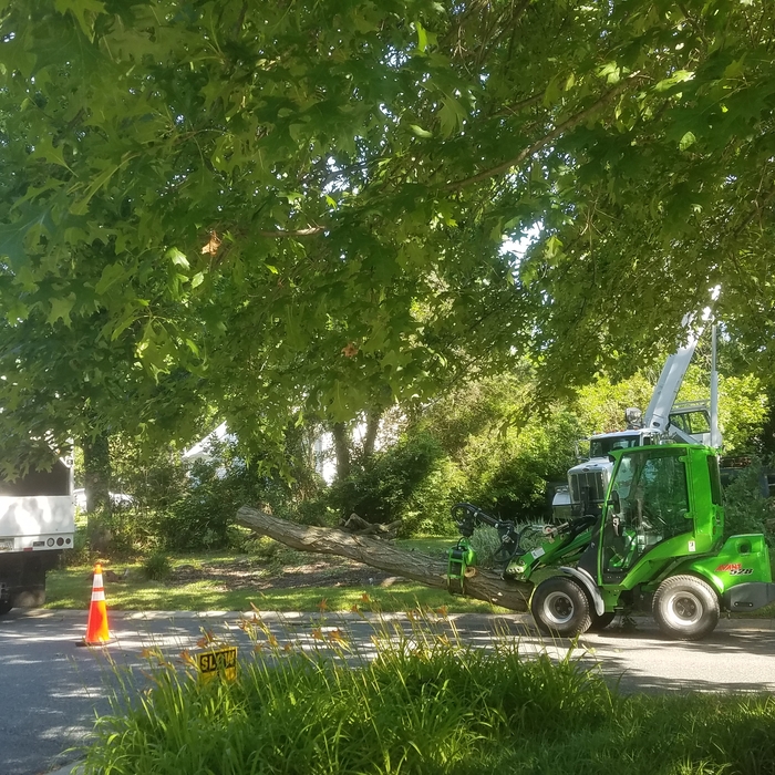 Loading logs.