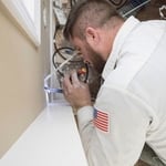 Wireone Work