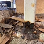 Oxidation