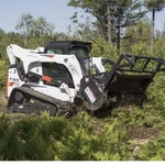 forestry mowing