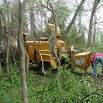 chipping