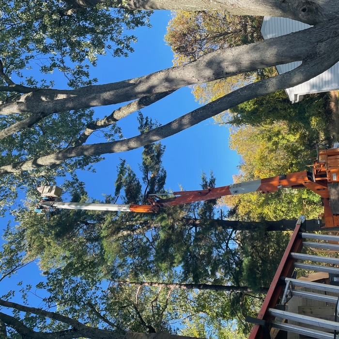 bucket truck work