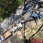Tree removal