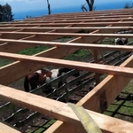 BEFORE...Stable Roof