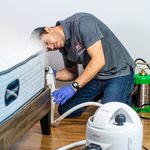 Applying steam on sims common nest area