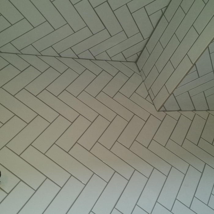 Previous Work
