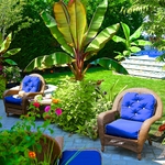 Summer Yard