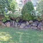 Rock