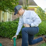 Termite Control