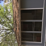 Roof in bad shape