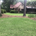 lawn fertilization