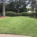 lawn fertilization care