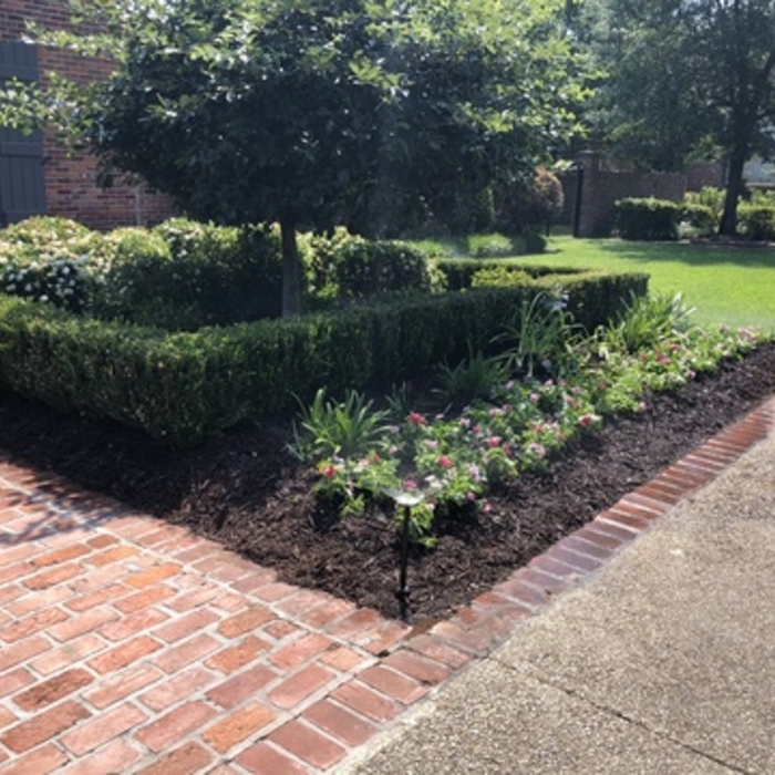 Tree & Shrub Fertilization Care