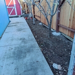 Patio renovation