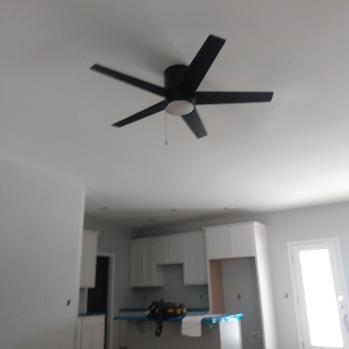 Red Door Home Celling fan
