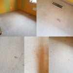 Carpet cleaning