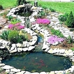 koi pond with garden