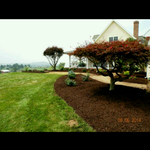 mulch work