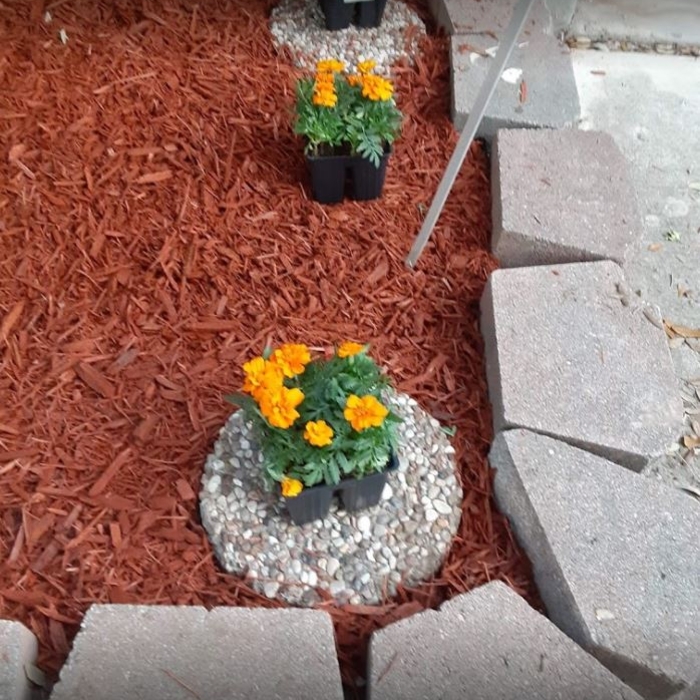 mulch and flowers