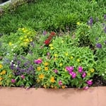 Landscape Gardens