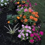 Landscape Gardens