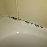 Before Deep-Cleaning