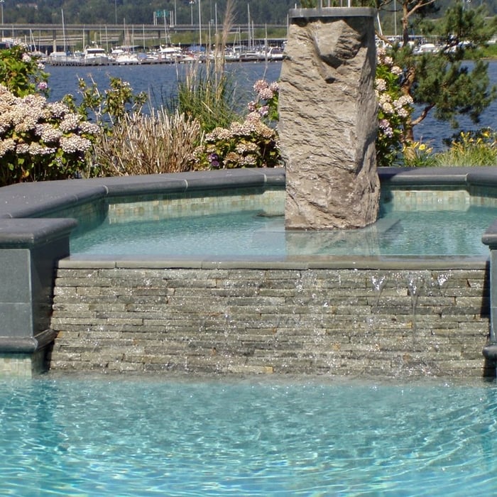 Pool & Spa