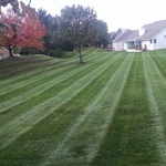 Lawncare