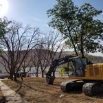 Land Clearing
