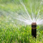 Sprinkler Head
