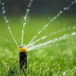 Sprinkler head
