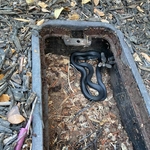 Helper in the Valve Box