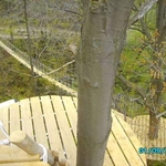 Treehouse