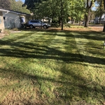 early fall cleanup after picture