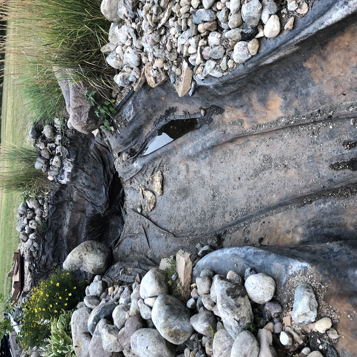 pond rehab