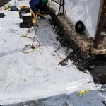 Asbestos