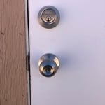 Shed door
