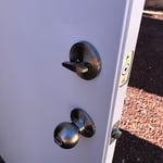 Shed door
