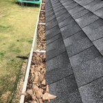 Gutter Cleaning