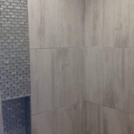 Guest Shower Renovation